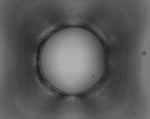 X0000091170635200708231506