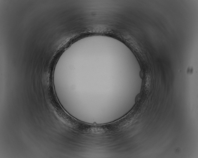 X0000091170636200708231506