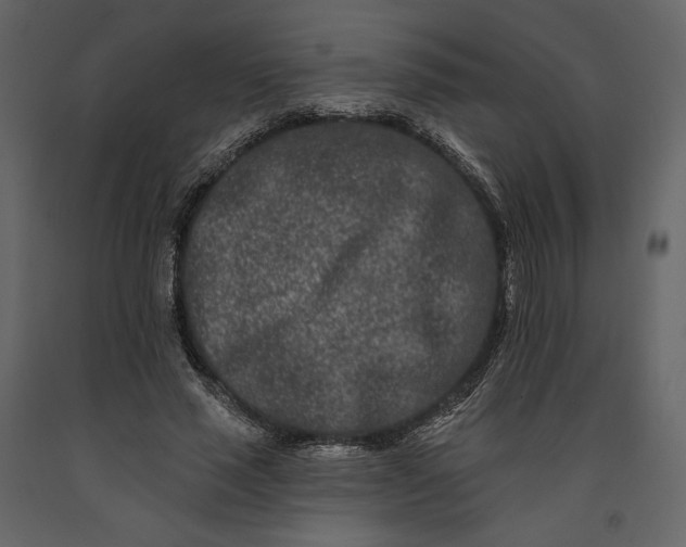 X0000091170637200708231506