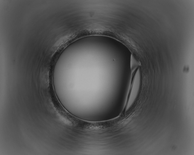 X0000091170638200708231506