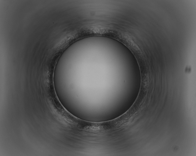 X0000091170639200708231506