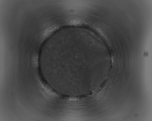 X0000091170640200708231506