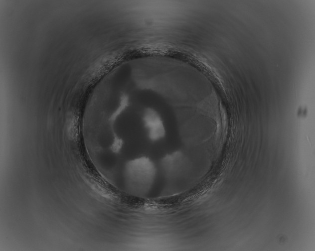 X0000091170641200708231506