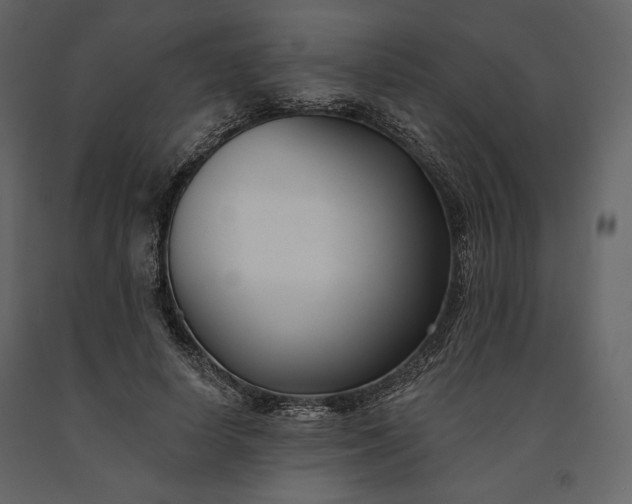 X0000091170642200708231506