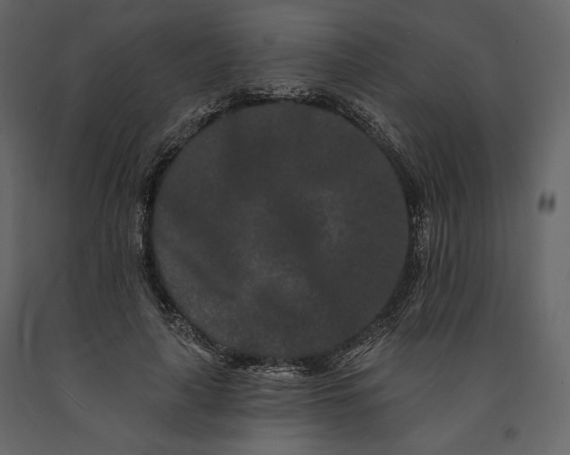 X0000091170643200708231506