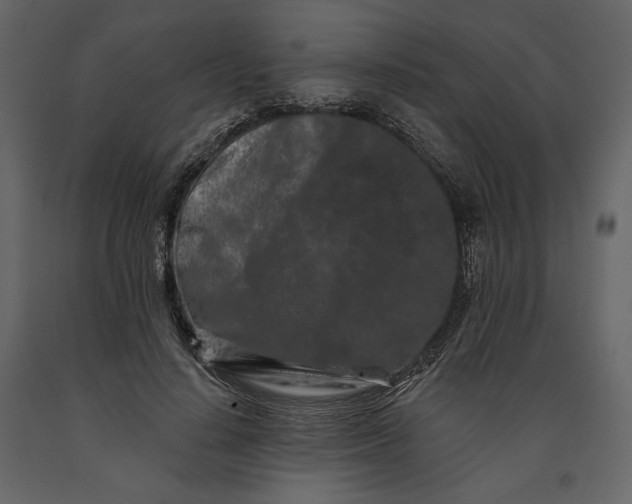 X0000091170644200708231506