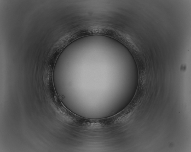 X0000091170645200708231506