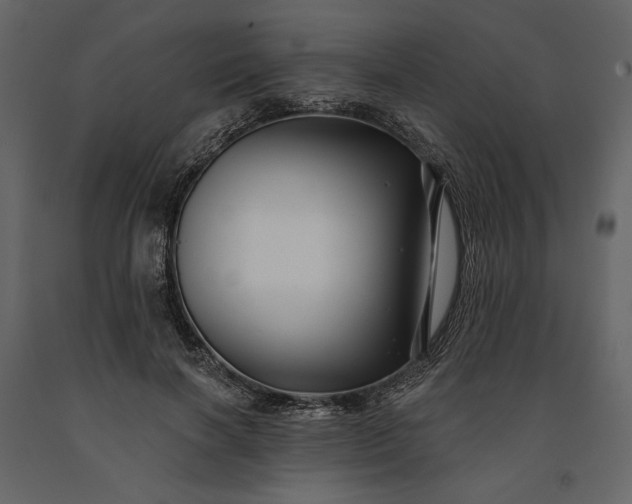 X0000091170646200708231506