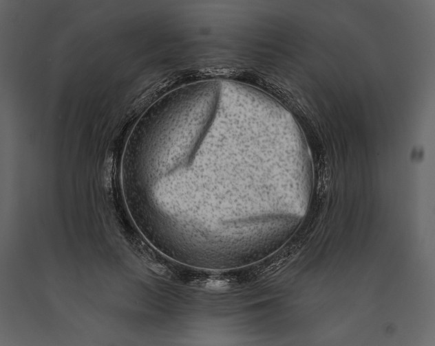 X0000091170647200708231506