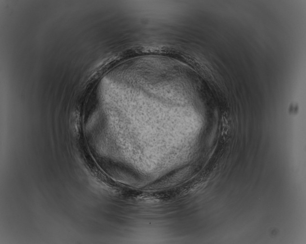 X0000091170648200708231506