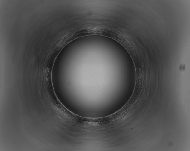 X0000091170649200708231506