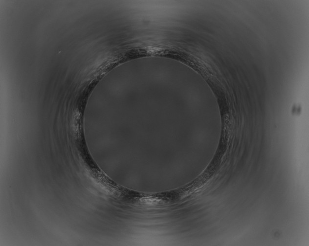 X0000091170650200708231506