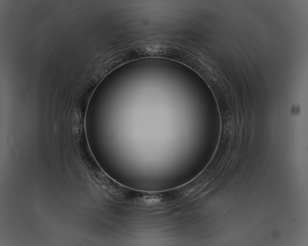 X0000091170651200708231506