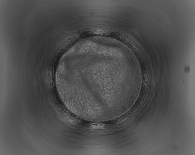 X0000091170653200708231506