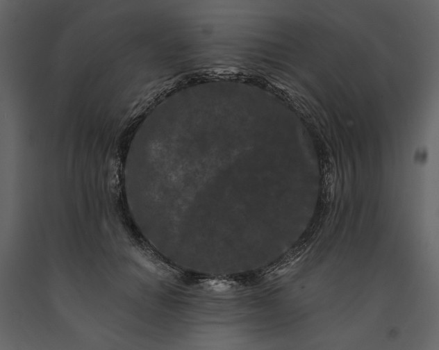 X0000091170654200708231506