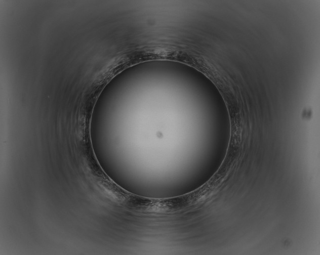 X0000091170656200708231506