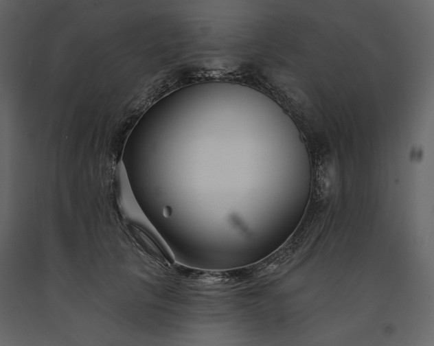 X0000091170657200708231506