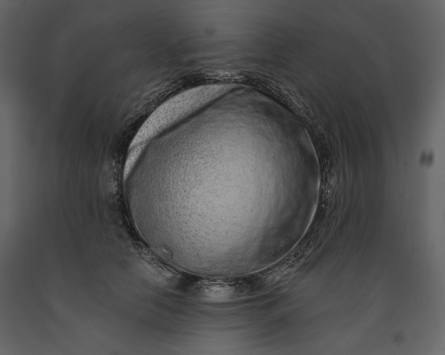 X0000091170658200708231506