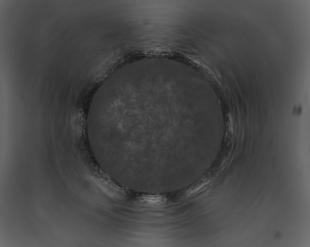 X0000091170659200708231506