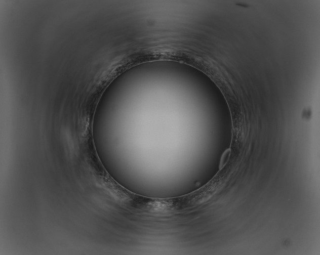 X0000091170660200708231506