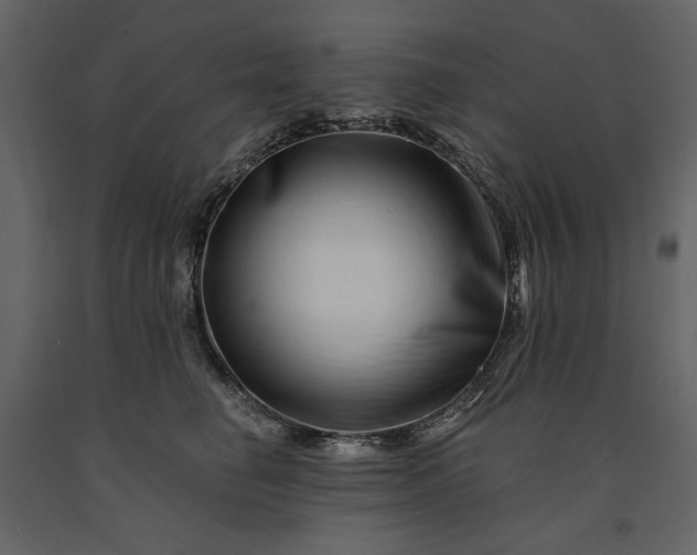 X0000091170662200708231506