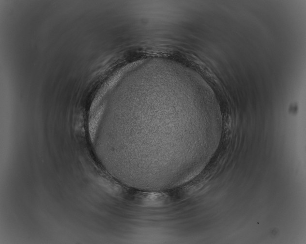 X0000091170663200708231506