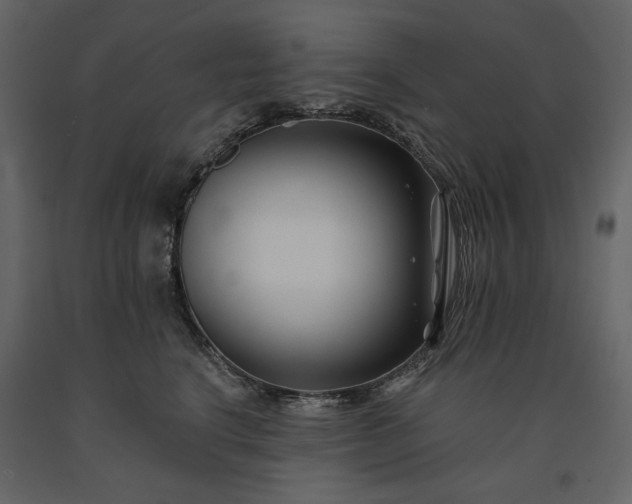 X0000091170664200708231506