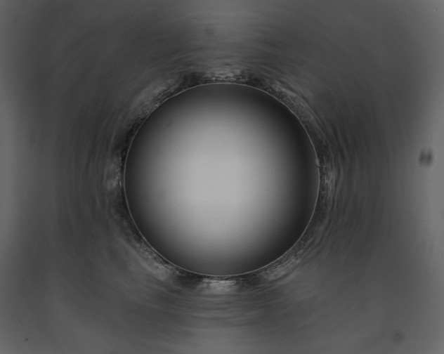 X0000091170665200708231506