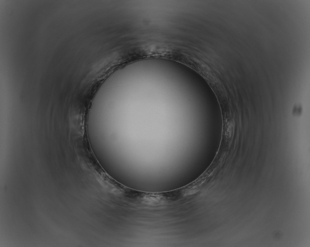 X0000091170666200708231506