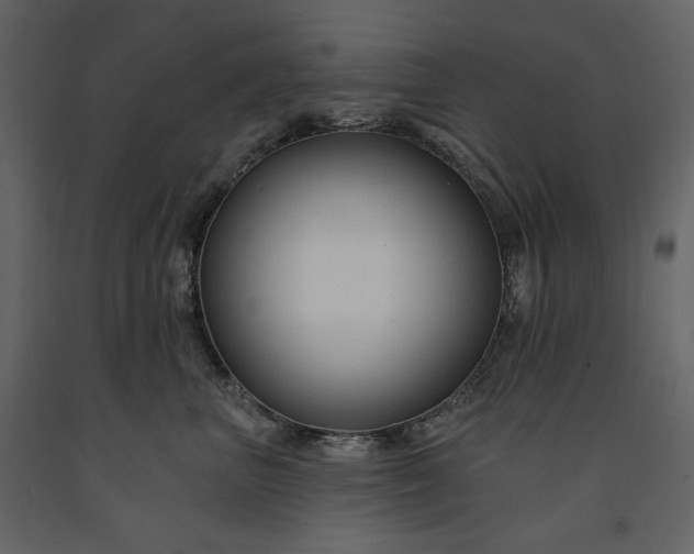 X0000091170667200708231506