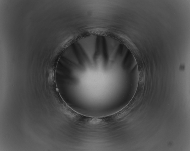 X0000091170669200708231507