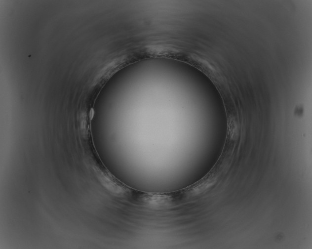 X0000091170670200708231507