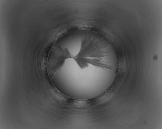 X0000091170671200708231507