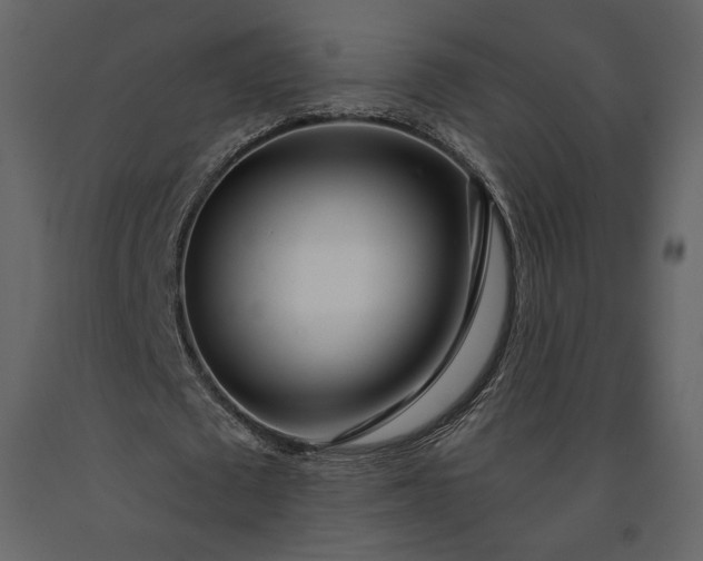 X0000091170673200708231506