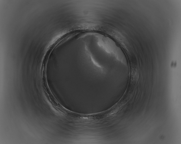 X0000091170674200708231506