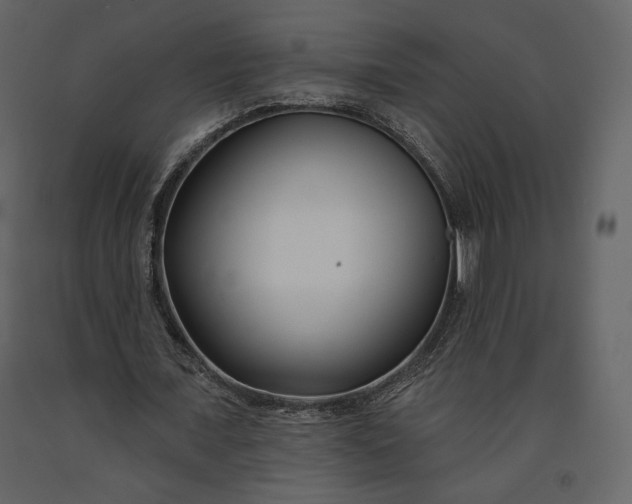 X0000091170675200708231506