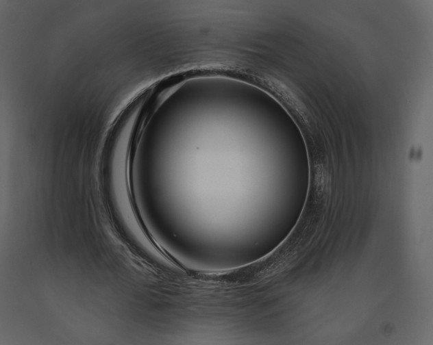 X0000091170676200708231506