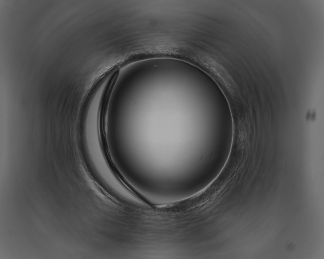 X0000091170677200708231506