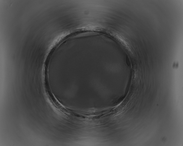 X0000091170678200708231506