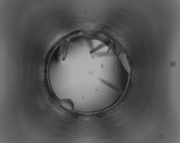 X0000091170679200708231506