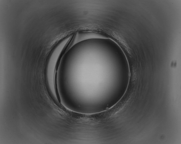 X0000091170681200708231506