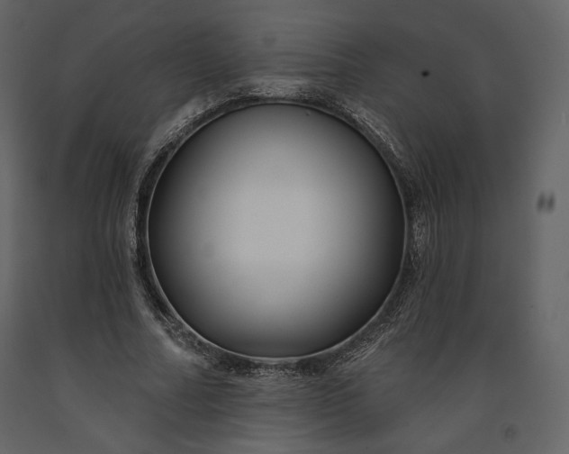 X0000091170682200708231506