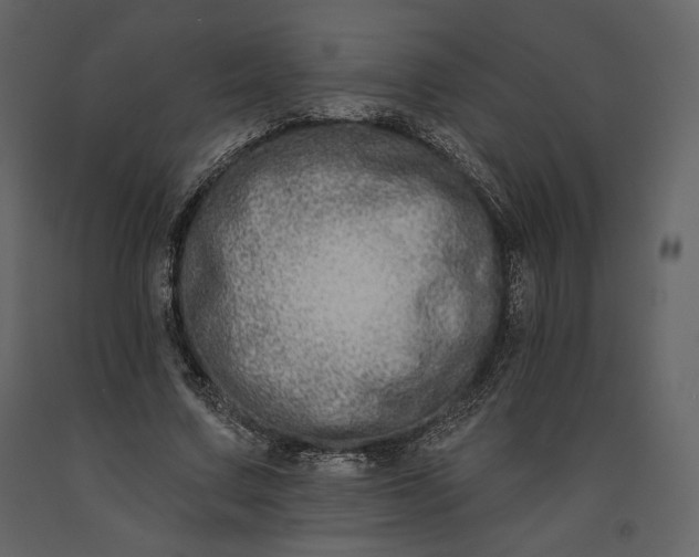 X0000091170683200708231506