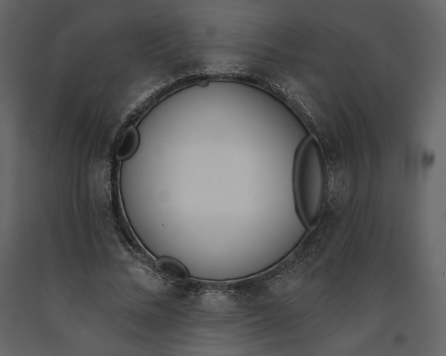 X0000091170684200708231506