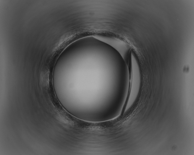 X0000091170685200708231506