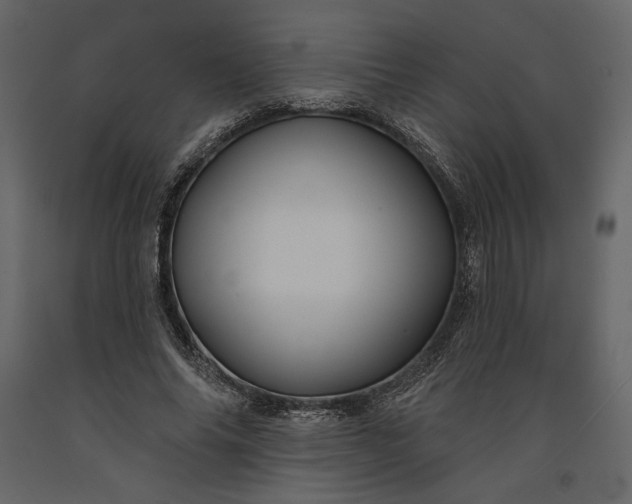 X0000091170686200708231506