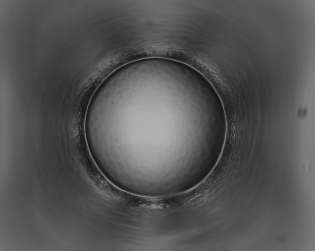 X0000091170687200708231506