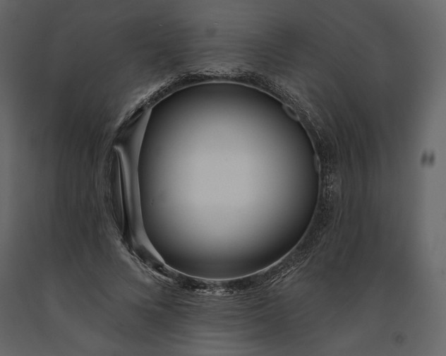 X0000091170688200708231506