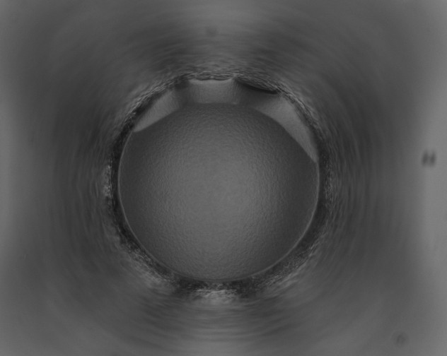 X0000091170689200708231505