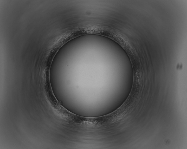 X0000091170690200708231505